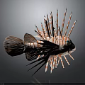 Lionfish With Orange And White Stripes Long Spiky Fins And Green Eyes