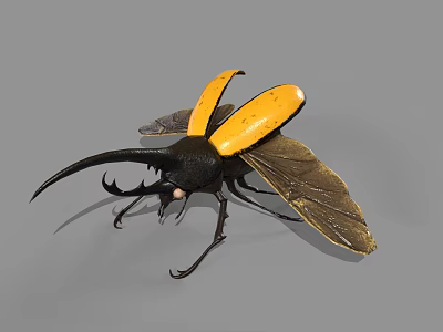 Realistic Black and Yellow Beetle with Large Antennae and Open Wings 3d model
