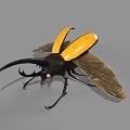 Realistic Black and Yellow Beetle with Large Antennae and Open Wings