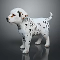 Dalmatian Puppy With Black And White Spots Standing On Dark Background Shiny Floor