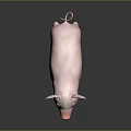 Cute Pink Piglet Standing On Shiny Black Surface With Soft Gray Background