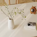 Stylish Home Decor With White Vase Green Leaves Books Vintage Camera And Wooden Ornament