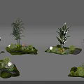 Garden Plant Combinations With Palm Trees Large Leaf Plants Purple Flowers Green Grass And Stones