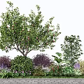 Arbor as Centerpiece in Garden Landscape With Shrubs Colorful Flowers and Green Plants