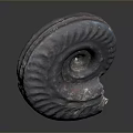 Vibrant Spiral Fossil With Purple Blue Pink Hues On Dark Background
