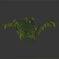 Lush Branching Foliage Plant with Green Leaves Yellow Edges and Shiny Texture on Dark Background