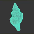 Spiral Conch Shell With Organ Like Structure And Hair Textured Surface
