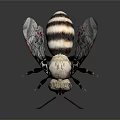 Detailed Insect With Black And White Striped Body And Transparent Red Patterned Wings