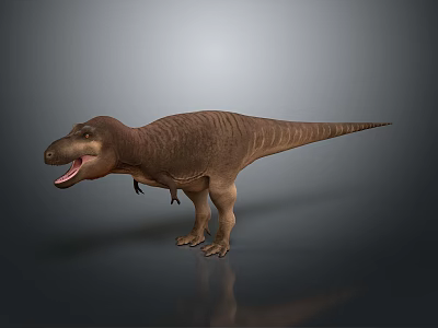 Realistic Tyrannosaurus Dinosaur 3D Model In Standing Pose With Open Mouth 3d model