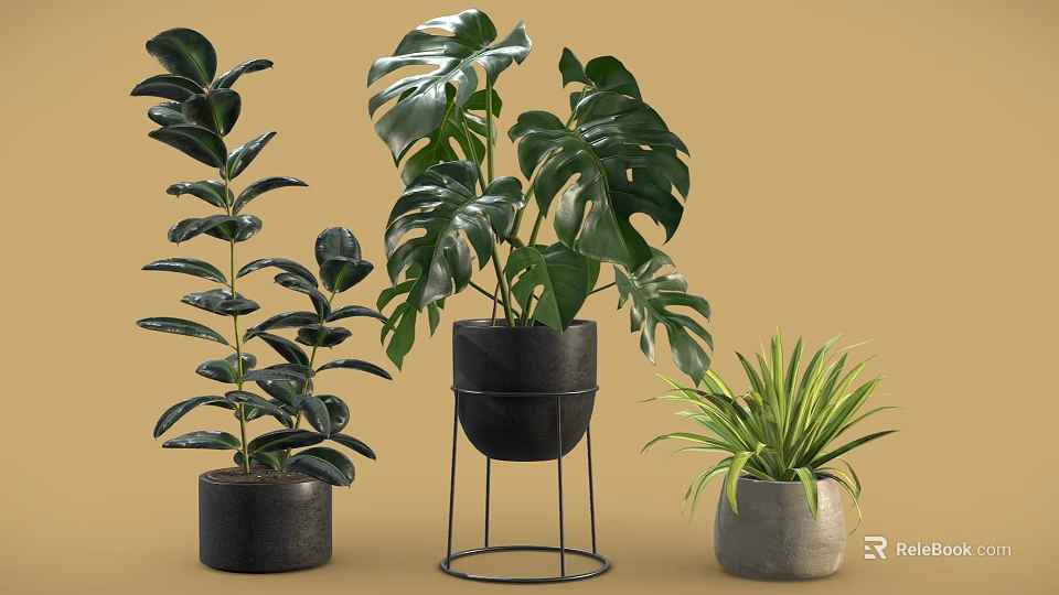 Potted Bonsai Plants with Large Leaves in Black and Gray Pots on Metal Stand 3d model 