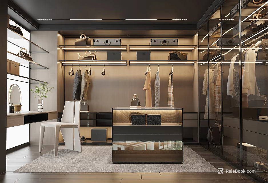 Modern Luxurious Walk in Closet Interior With Hanging Clothes Bags Suitcases Glass Doors And Display Counter 3d model 