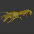 Aquatic Animal Lobster with Brown Shell Large Claws and Long Antennae in 3D Model