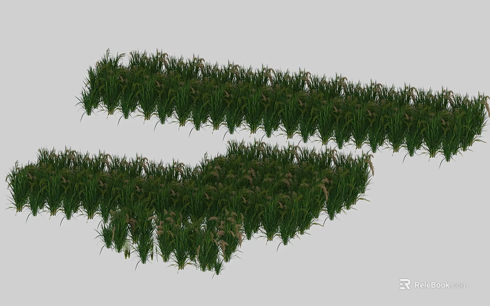 Lush Green Grass With Small Flowers In Natural Outdoor Meadow Area 3d model 