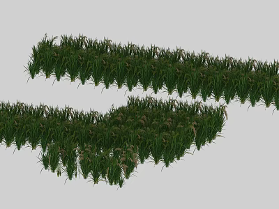 Lush Green Grass With Small Flowers In Natural Outdoor Meadow Area 3d model
