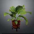 Indoor Potted Plant Decoration With Green Leaves Red Pot And Wheeled Stand
