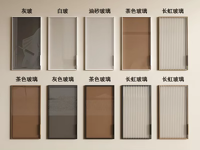Various Glass Material Wardrobe Doors Including Grey White Frosted Tea Colored and Changhong Glass 3d model