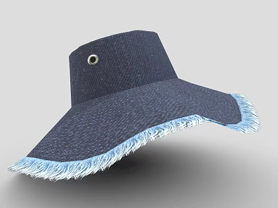Navy Blue Wide Brim Hat With Fringe Trim And Side Button Detail 3d model