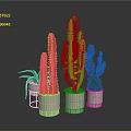 Various Cacti and Succulents in White Pots on Reflective Floor with Gray Background