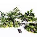 Various Green Tropical Plants With Lush Foliage And Decorative Stones Arrangement