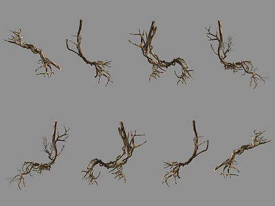 Dried Vine Branches With Various Curved Shapes For Decorative Design 3d model
