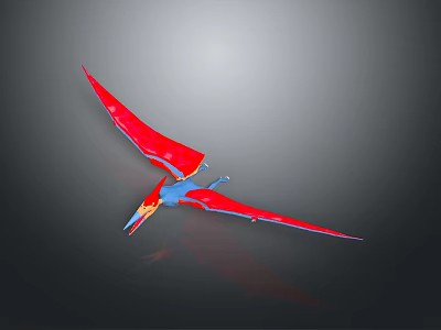 Red and Blue Pterosaur Model with Spread Wings in Gray Background Reflection 3d model