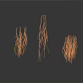 Organ Hair Filament Structures Showing Branched Growths on Isolated White Background