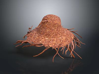 Handwoven Straw Hat With Wide Brim And Fringe Details For Daily Use 3d model
