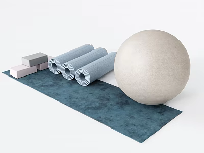 Essential Home Fitness Equipment Setup With Yoga Mats Ball And Blocks 3d model