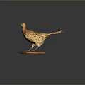 Taxidermy Pheasant Bird Standing on Wooden Base with Natural Feather Details
