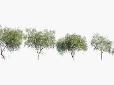 Lush Green Arbor Trees In Various Shapes And Sizes For Outdoor Landscape Design 3d model