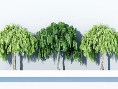 Green Arbor Trees With Lush Weeping Willow Foliage And Brown Trunks 3d model