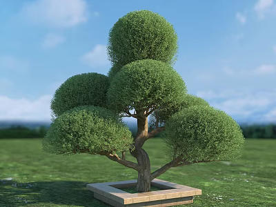 Topiary Arbor with Round Canopies in Square Stone Planter on Green Lawn Under Blue Sky 3d model