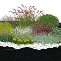Colorful Garden Plants With Red Grasses Green Shrubs Red Yellow Purple Flowers And White Pebbles