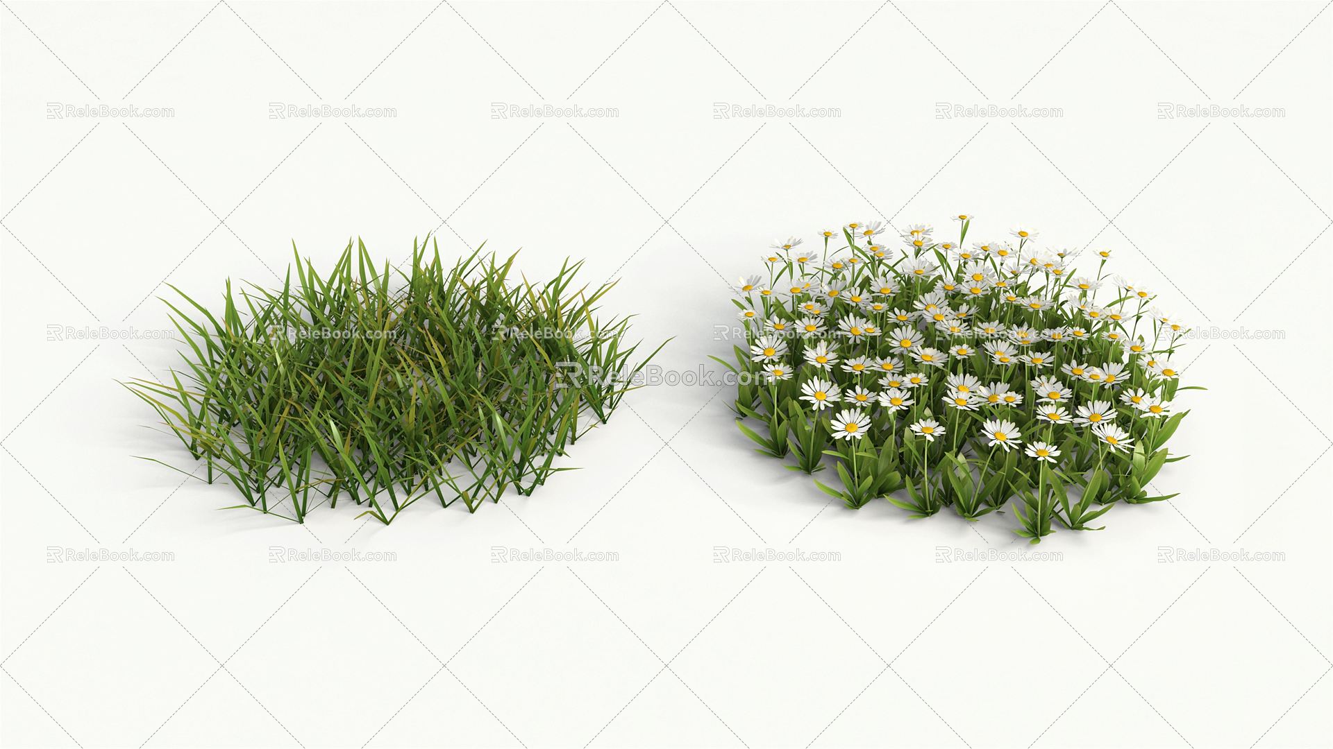 Modern flowers flowers and plants 3d model