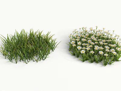Fresh Green Grass and White Daisies in Natural Clusters on White Background 3d model