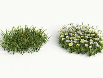 Modern flowers and plants 3d model