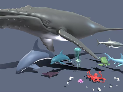 Various Marine Animals Collection With Whale Dolphin Shark Jellyfish Octopus And Small Fish 3d model