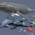 Various Marine Animals Collection With Whale Dolphin Shark Jellyfish Octopus And Small Fish