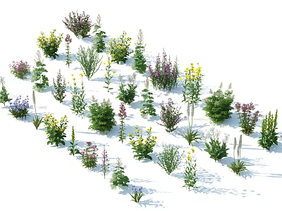 Diverse Flowering Shrubs With Colorful Blooms And Green Foliage In Garden 3d model