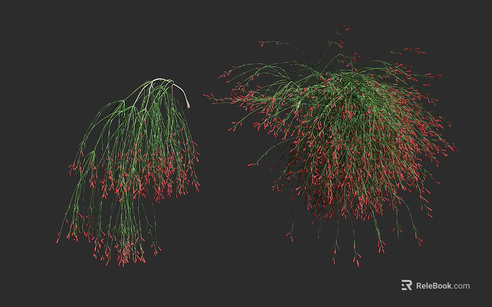 Decorative Green Shrubs With Red Hanging Foliage For Garden Landscaping Design 3d model 
