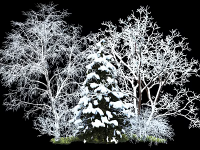 Snow Covered Trees With Frosted Branches In Winter Natural Landscape 3d model