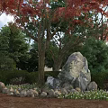Garden with Lush Green Shrubs Red Leaf Trees Large Rock Small Stones and White Flowers