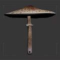 Fresh Spotted Mushroom With Brown And White Cap On Dark Background Stem