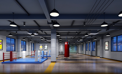 Modern Gym Taekwondo 3d model