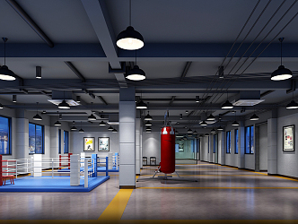 Modern Gym Taekwondo 3d model