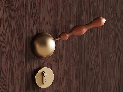 Elegant Golden Door Handle With Wooden Grip On Dark Wooden Door And Round Lock Plate 3d model