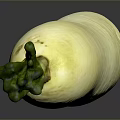 Fresh White Radish With Green Leaves On Gray Reflective Surface 3d model