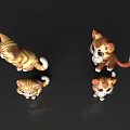 Three Kitten 3D Models With Various Poses Expressions And Dark Reflective Background 3d model