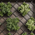Green Living Wall With Grid Structure And Various Plants
