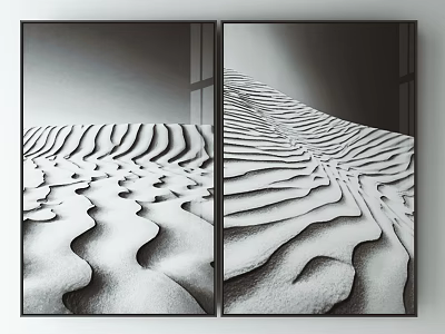 Two Black Framed Decorative Wall Art With Black And White Sand Dune Patterns 3d model